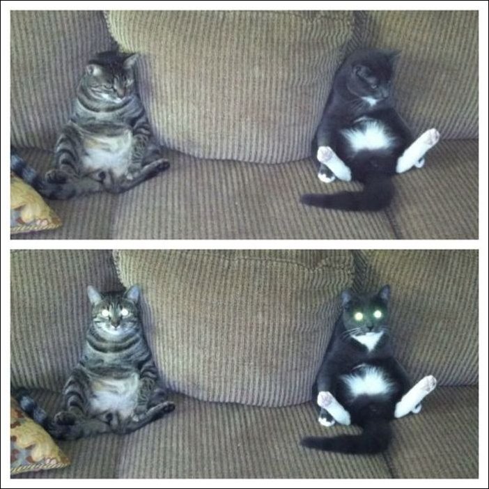 Подборка фотографий, фото приколы