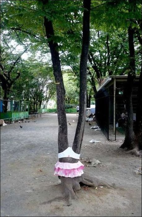 Подборка фотографий, фото приколы