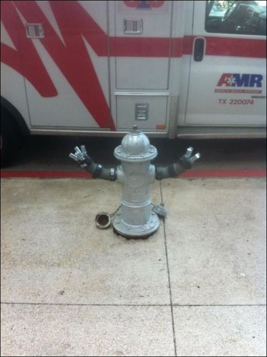 Подборка фотографий, фото приколы