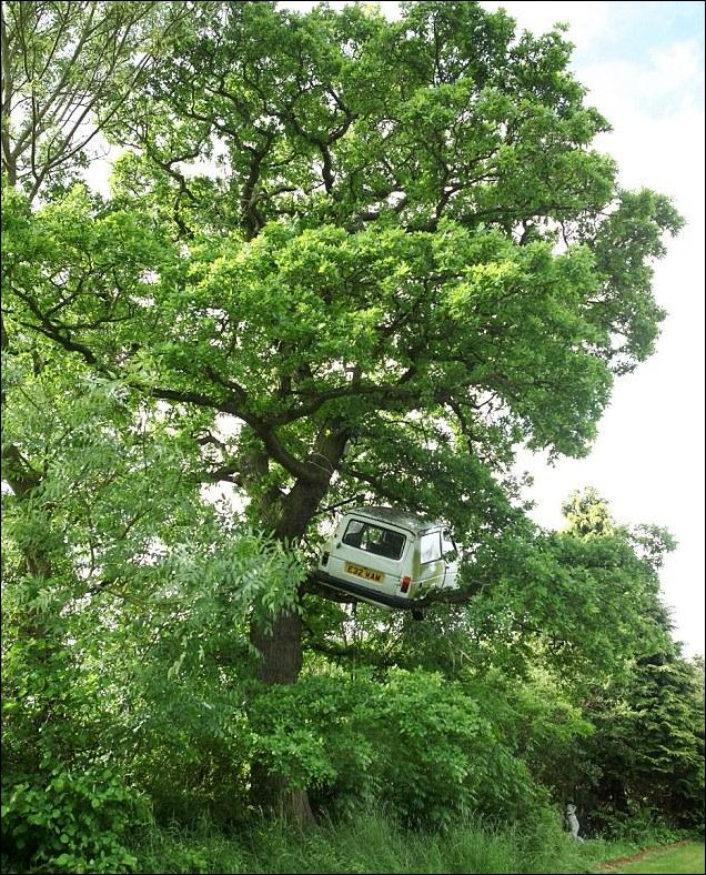 Подборка фотографий, фото приколы