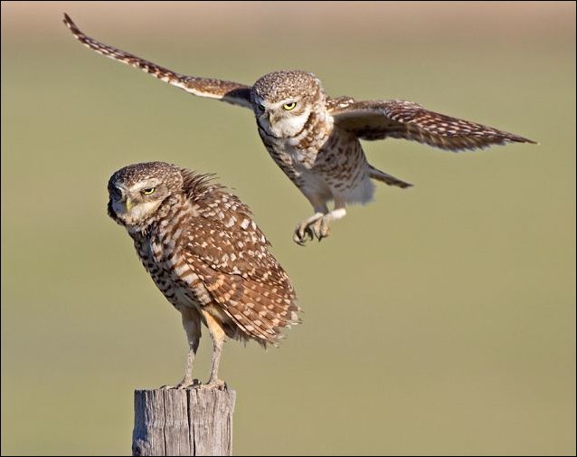 Подборка фотографий, фото приколы