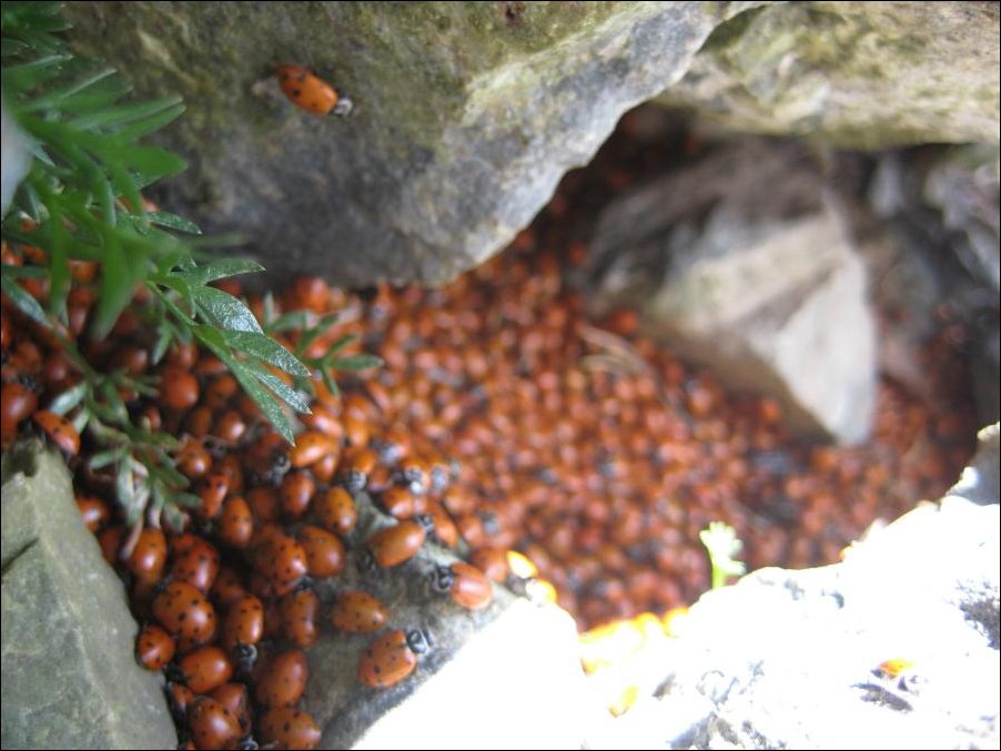 Подборка фотографий, фото приколы
