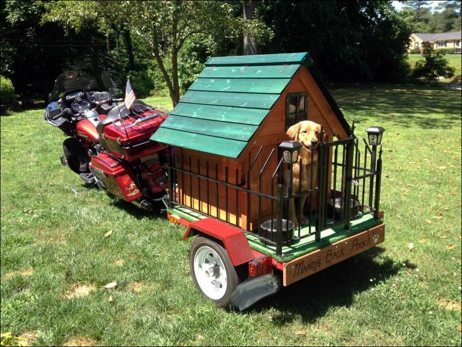 Подборка фотографий, фото приколы