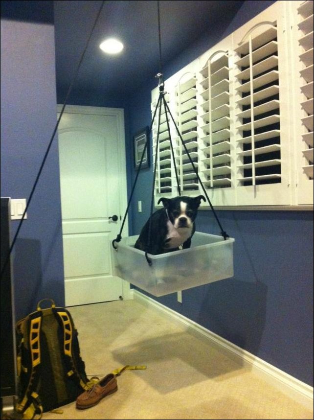 Подборка фотографий, фото приколы