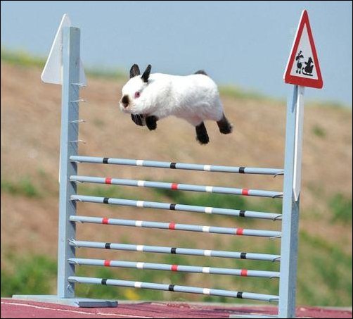 Подборка фотографий, фото приколы