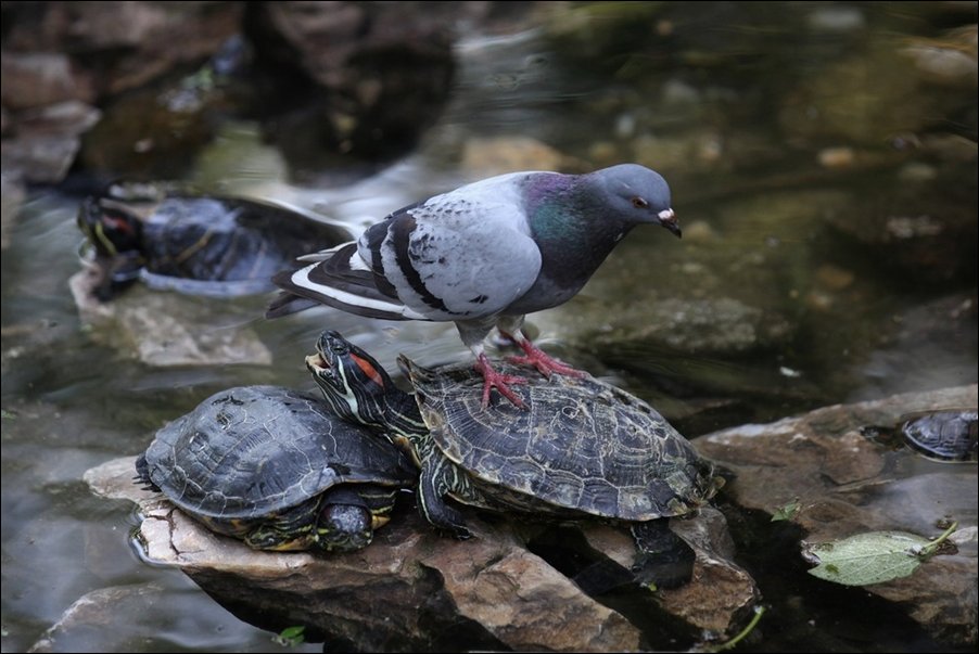 Подборка фотографий, фото приколы