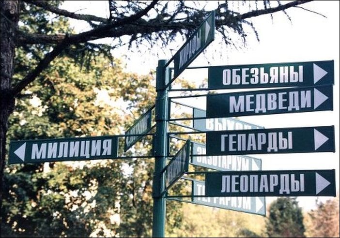 Подборка фотографий, фото приколы