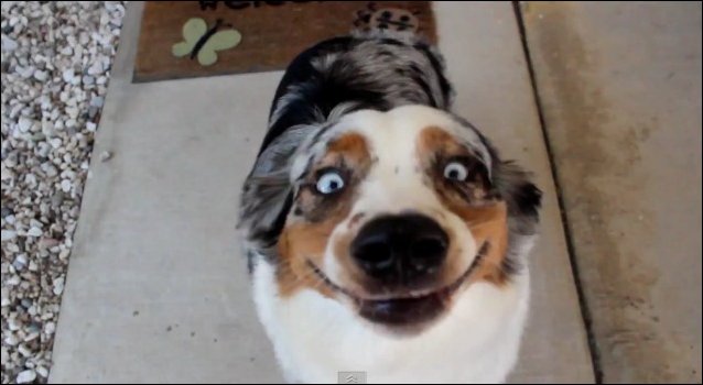 Подборка фотографий, фото приколы