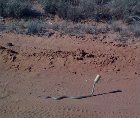 Подборка фотографий, фото приколы