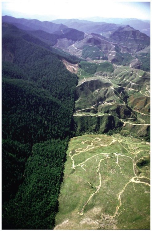 Подборка фотографий