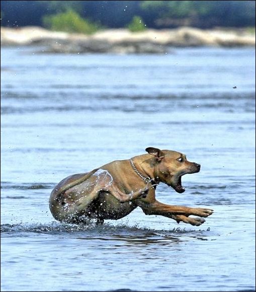 Подборка фотографий