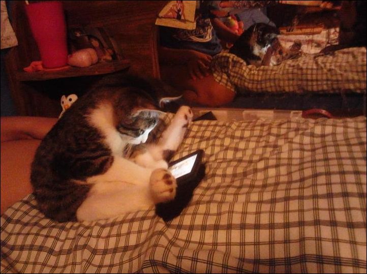 Подборка фотографий