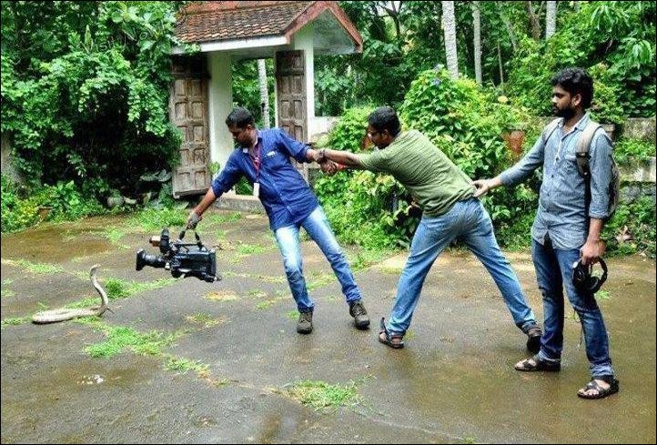 Подборка фотографий