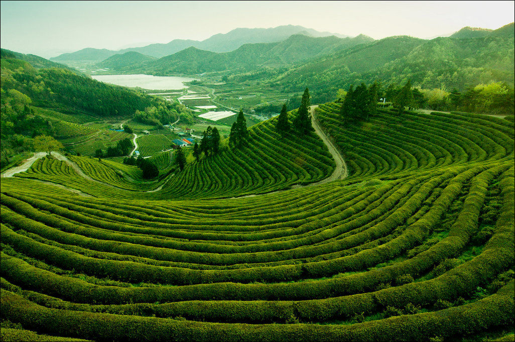 Подборка фотографий