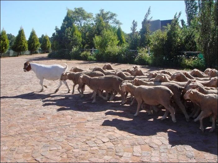 Подборка фотографий