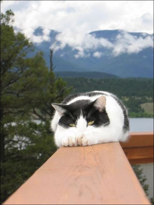 Подборка фотографий