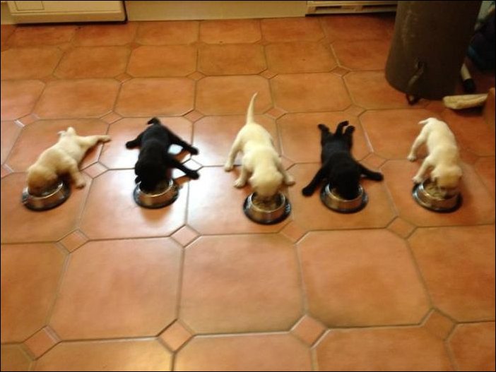 Подборка фотографий