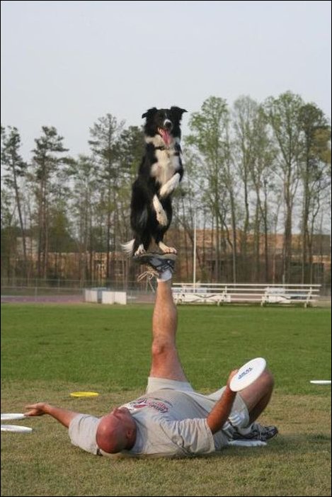 Подборка фотографий