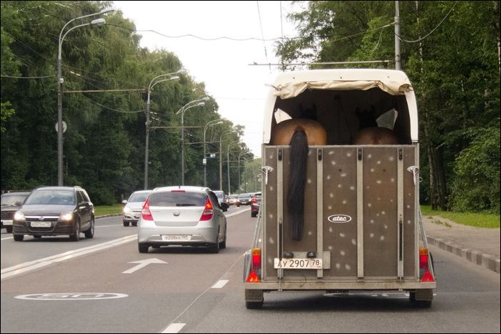 Подборка фотографий
