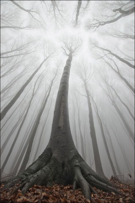 Подборка фотографий