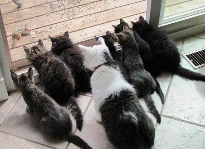 Подборка фотографий