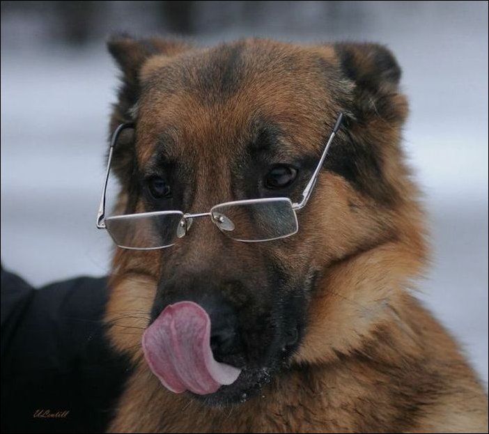 Подборка фотографий