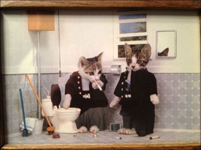 Подборка фотографий