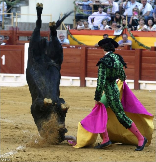 Подборка фотографий