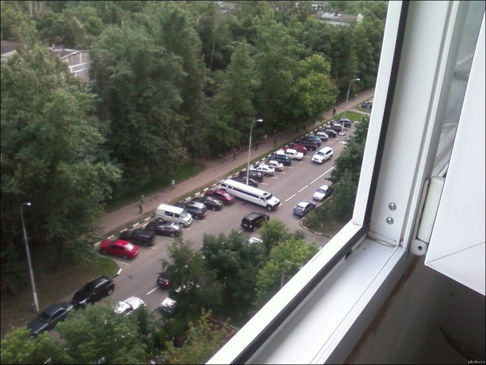 Подборка фотографий