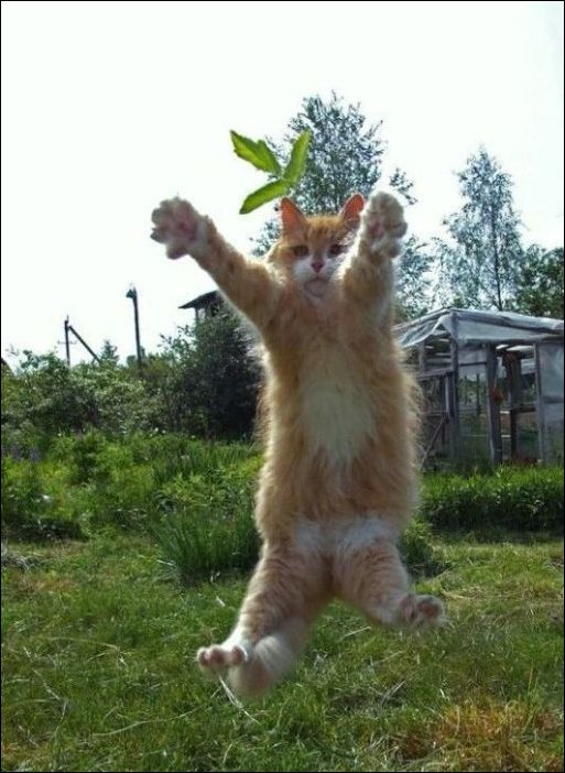 Подборка фотографий