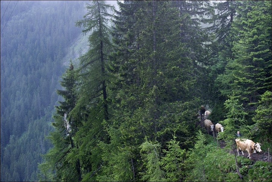 Подборка фотографий