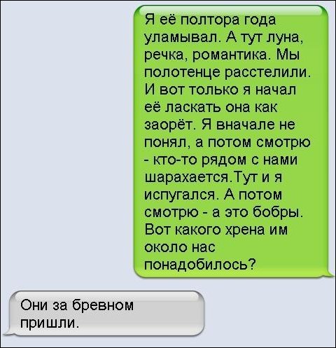 Подборка фотографий