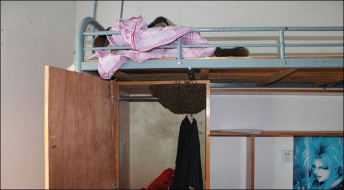 Сюрприз в шкафу