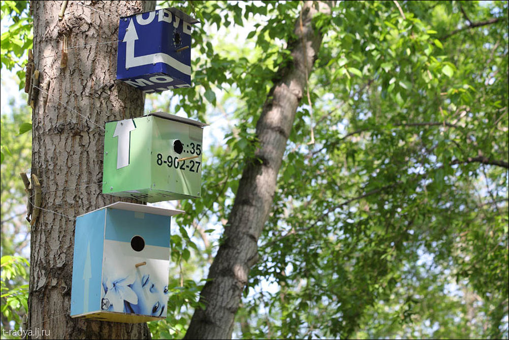 Улучшения на районе