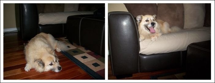 Жена дома, жена в командировке