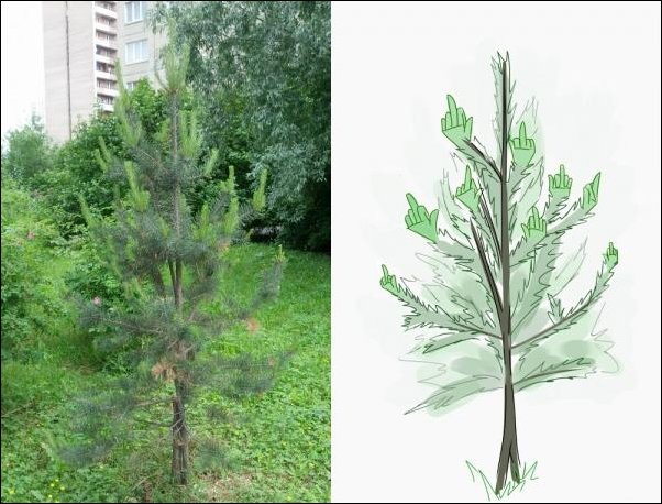 Комиксы и карикатуры