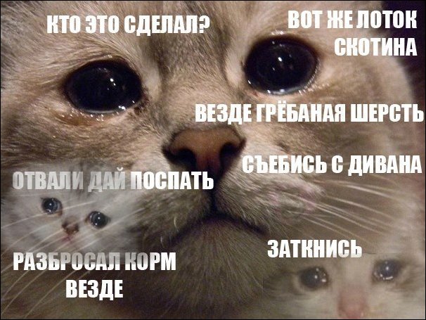 Комиксы и карикатуры