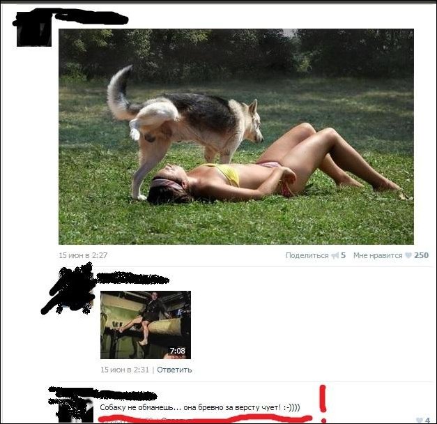 Смешные комментарии из социальных сетей