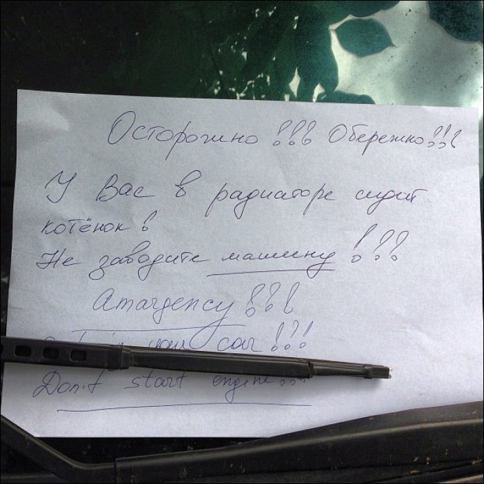 Прикольные надписи и объявления