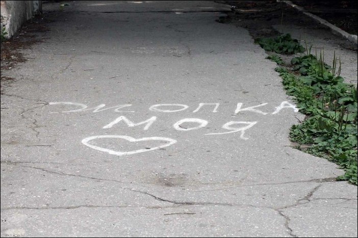 Прикольные надписи и объявления