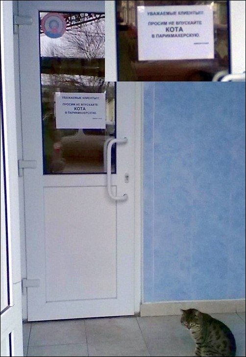 Прикольные надписи и объявления