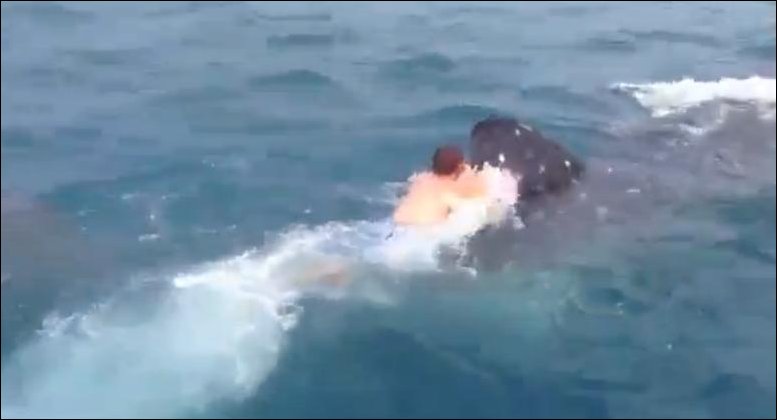 Парень прокатился верхом на акуле