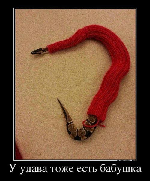 Демотиватор