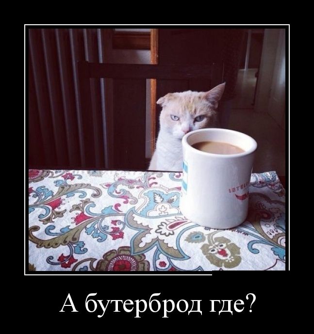 Демотиватор