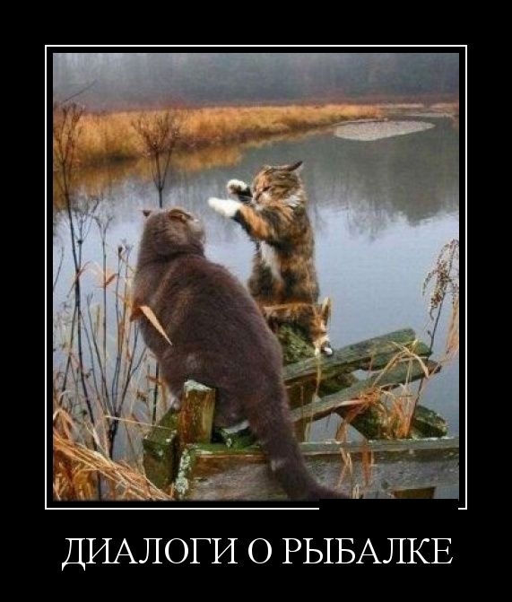 Демотиватор