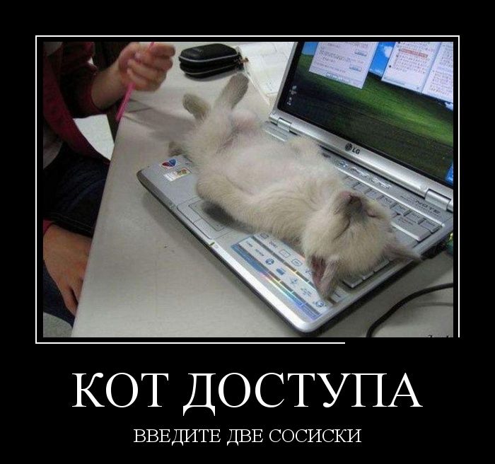 Демотиватор