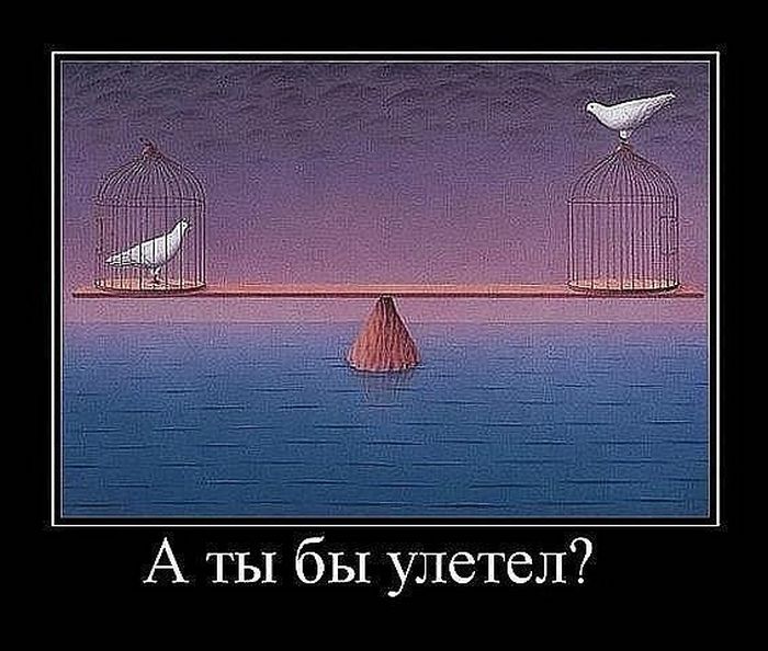 Демотиватор