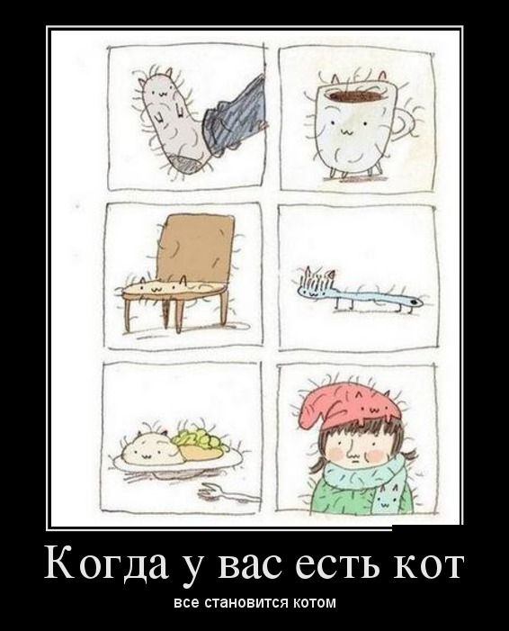 Демотиватор