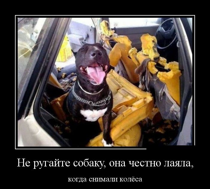 Демотиватор