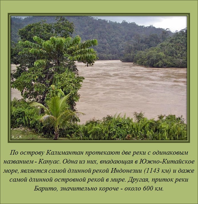 Интересные факты о разном